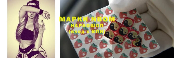 индика Баксан