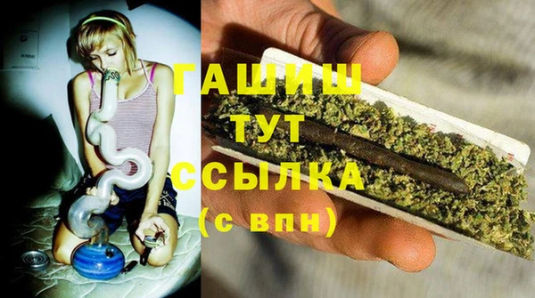 индика Баксан