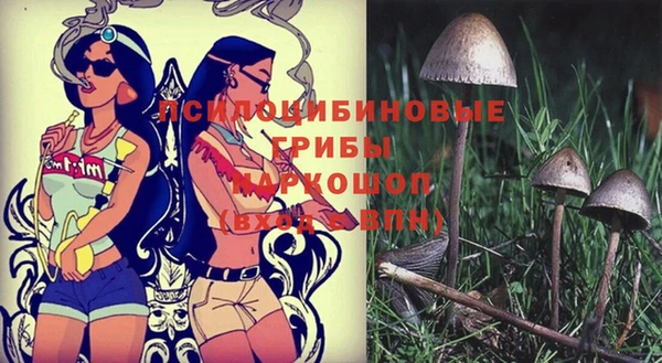 a pvp Балахна