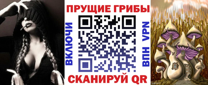 Псилоцибиновые грибы прущие грибы  гидра зеркало  Краснотурьинск 
